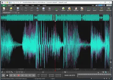 Professional Audio Editing Features